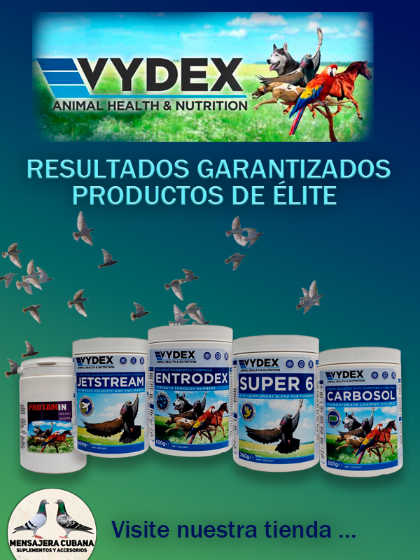 banner vydex movil